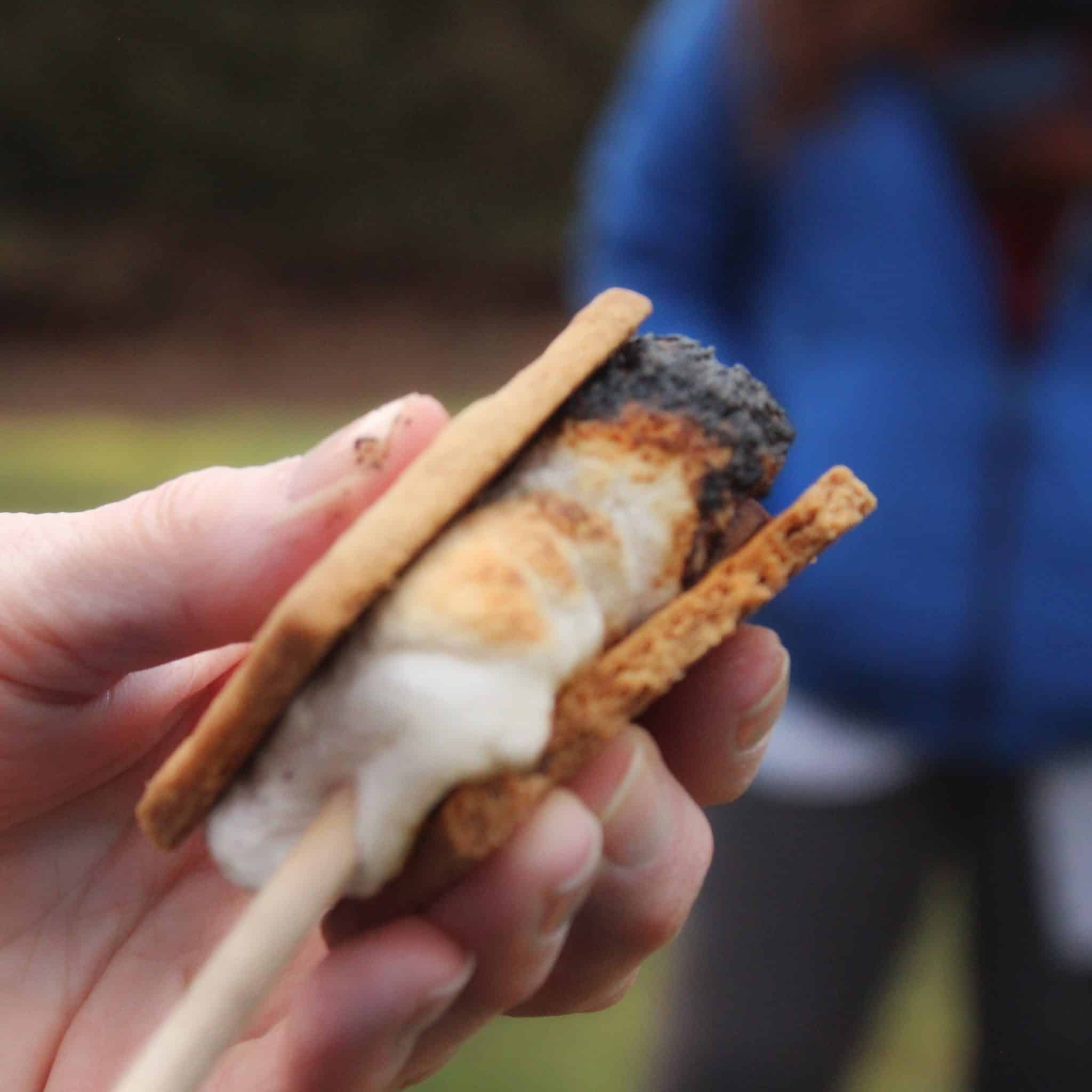 Close up of hand holding a S'More