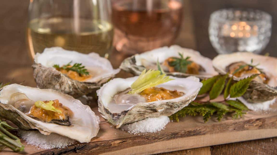 Close up view of oysters on wooden slab