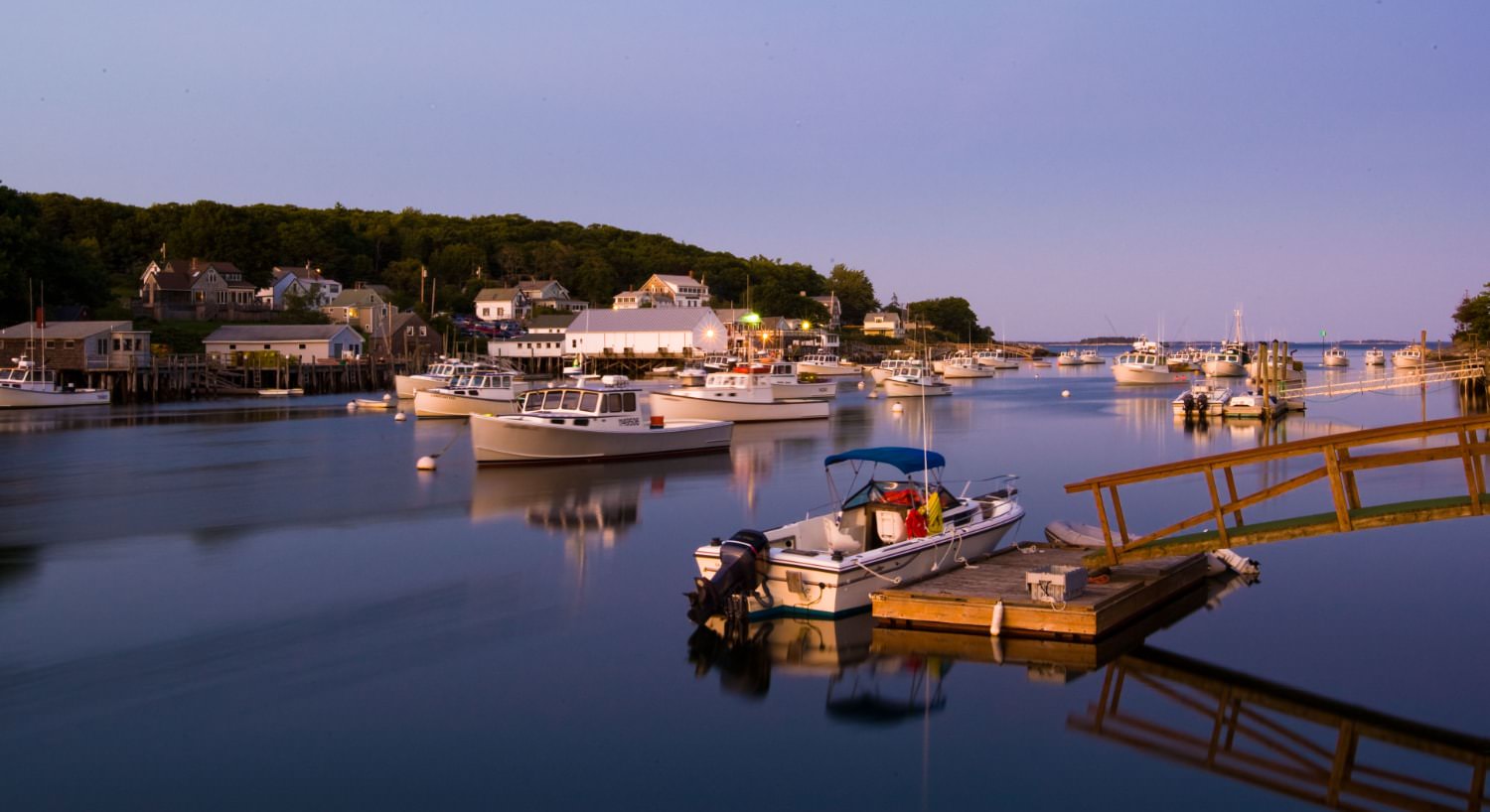 View of a harbor full of boats near a town with large houses and green trees