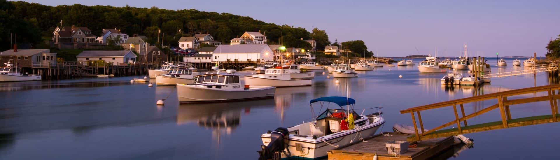 View of a harbor full of boats near a town with large houses and green trees